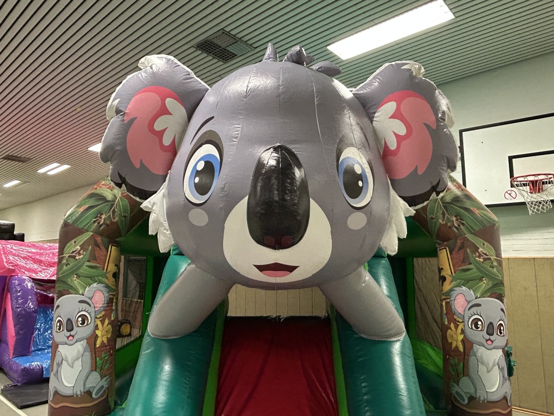 Multiplay%20Koala%20M